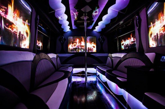 30-passenger party bus rental